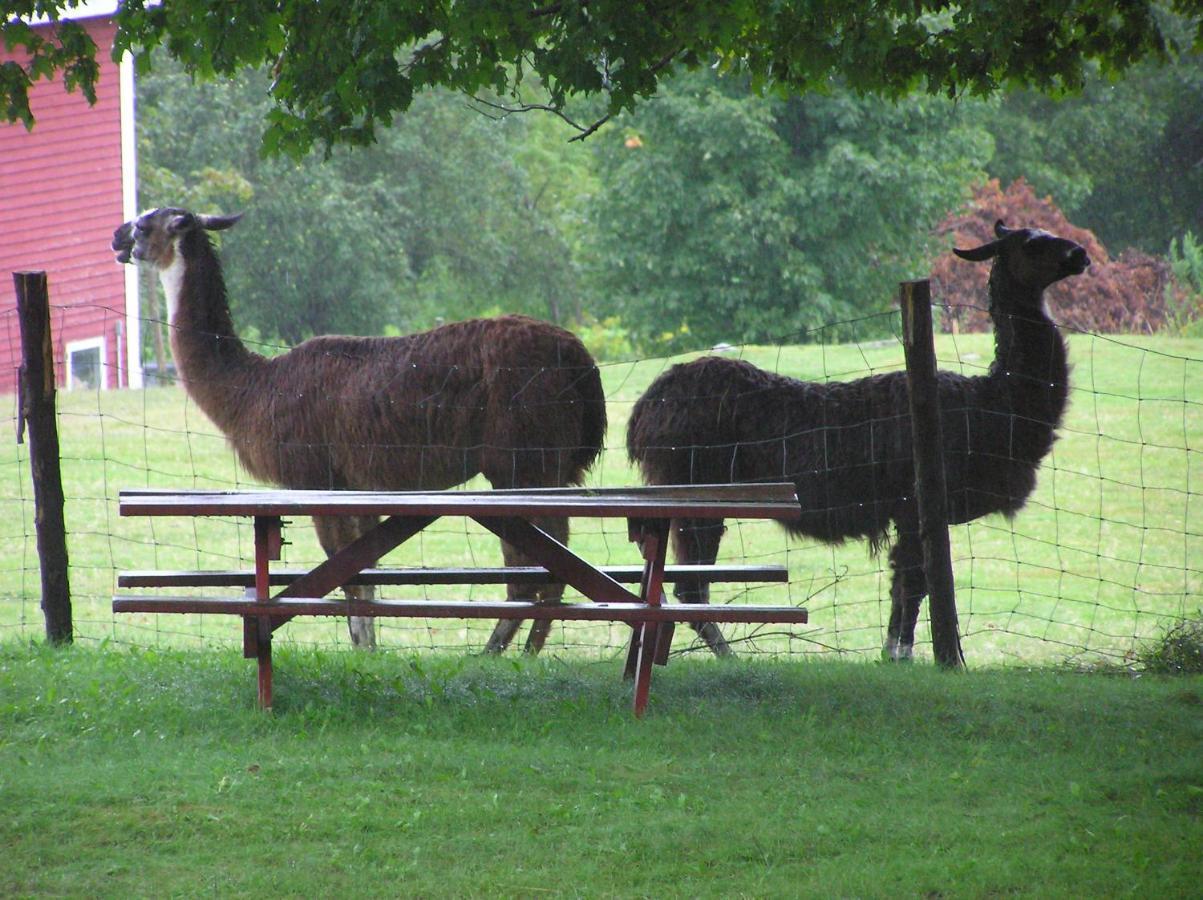 Maple Hill Farm Inn Augusta Eksteriør billede